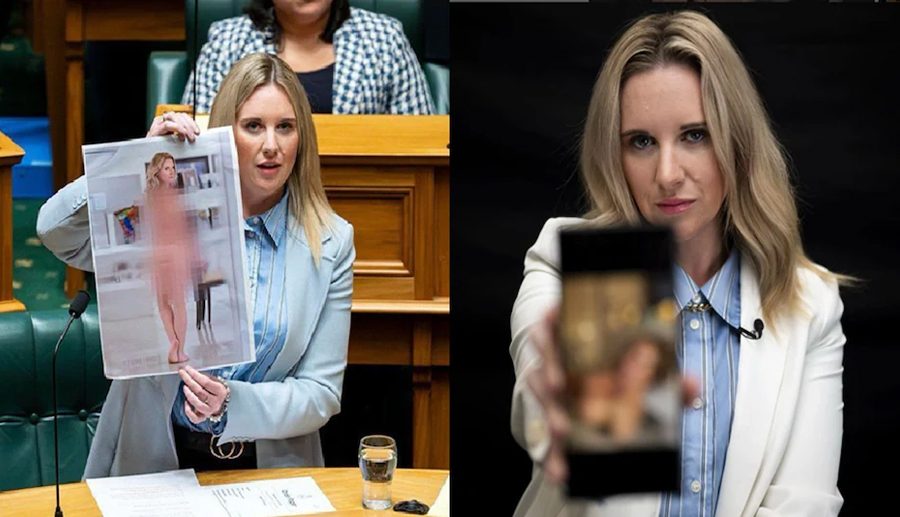 न्यूजील्याण्डकी महिला सांसदले आफैंले बनाएको एआई नग्न तस्बिर देखाइन संसदमा, कानूनको माग