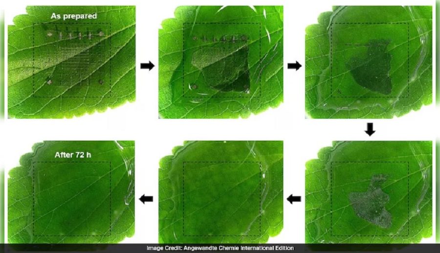 कोरियाली वैज्ञानिकहरूद्वारा पानीमा घोलिने मेमोरी डिभाइस विकास