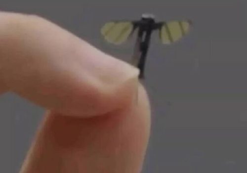 चीनमा लामखुट्टे जस्तो देखिने ‘सानो जासूसी ड्रोन’ सार्वजनिक