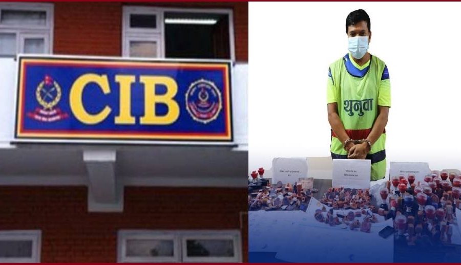 सरकारी कार्यालय, प्रहरी, शैक्षिक संस्था तथा बैंकहरुको छाप तथा विवरण किर्ते गर्ने व्यक्ति पक्राऊ