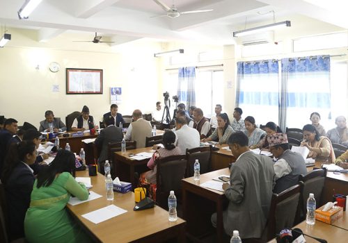 ‘काउन्सिललाई राजनीतिक हस्तक्षेप मुक्त बनाउनुपर्छ’