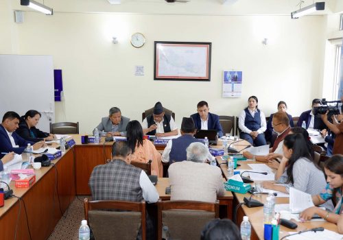 शिक्षा समितिमा मिडिया काउन्सिल विधेयकमाथि सैद्धान्तिक छलफल