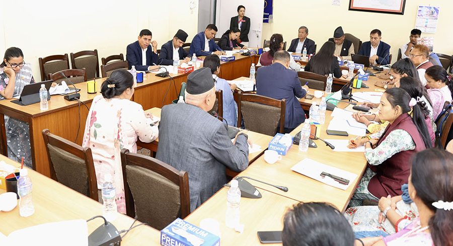 सूचना प्रविधि तथा साइबर सुरक्षा विधेयक र सामाजिक सञ्जाल विधेयकका अन्तरसम्बन्धित विषय बारे प्रष्ट पार्न सञ्चार मन्त्रालयलाई निर्देशन