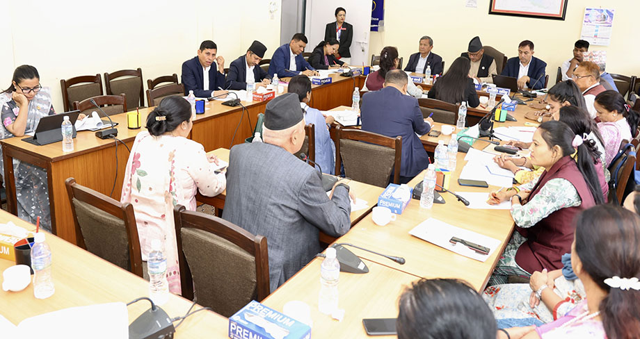 सूचना प्रविधि तथा साइबर सुरक्षा विधेयक र सामाजिक सञ्जाल विधेयकका अन्तरसम्बन्धित विषय बारे प्रष्ट पार्न सञ्चार मन्त्रालयलाई निर्देशन