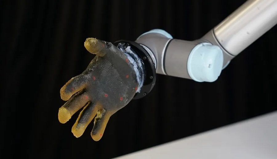 वैज्ञानिकहरूले रोबोटका लागि बनाए ‘स्पर्श’ महसुस गर्न सक्ने ‘इलेक्ट्रोनिक छाला’