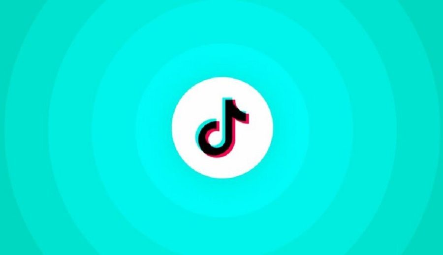 इन्डोनेसियामा टिकटकले केही दिनका लागि बन्द गर्यो लाइभ सुविधा