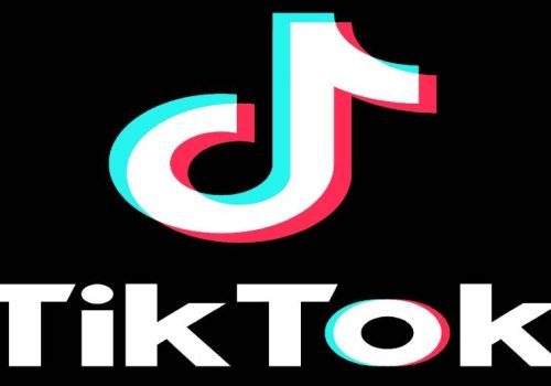 White House launches official TikTok account