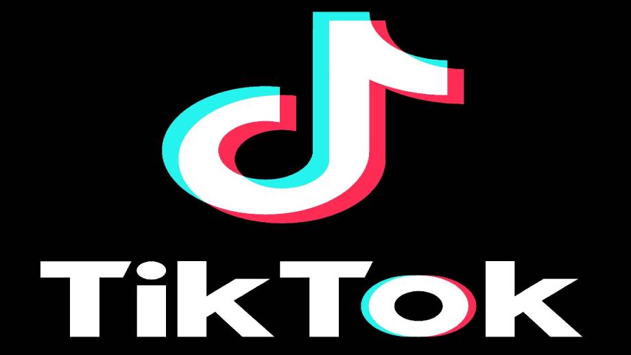 TikTok removed almost nineteen lakh videos in Nepal in first quarter