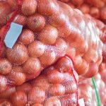 सामाजिक सञ्जालमा देखेको प्रविधि प्रयोग गरेर प्याज भण्डारण