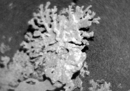 क्युरियोसिटी रोभरले मंगल ग्रहमा भेट्यो अर्बौं वर्ष पुरानो ‘मुगा’को पहाड