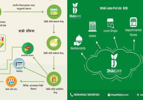 रैथाने कृषि उपजलाई बजारीकरण गर्दै ‘ढिकी जाँतो’ वेबसाइट