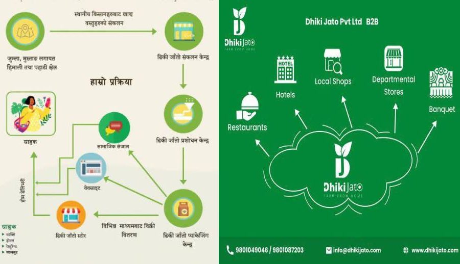 रैथाने कृषि उपजलाई बजारीकरण गर्दै ‘ढिकी जाँतो’ वेबसाइट