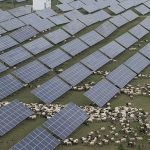 China’s installed power capacity sees steady expansion