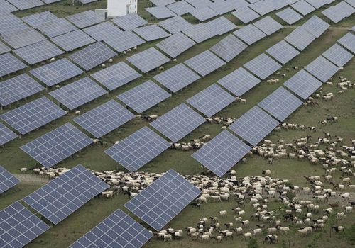 China’s installed power capacity sees steady expansion