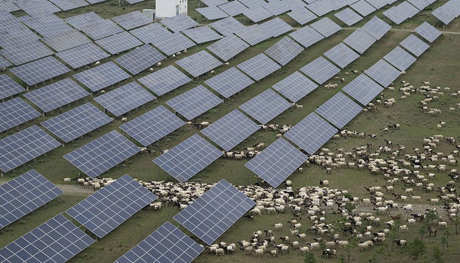 China’s installed power capacity sees steady expansion