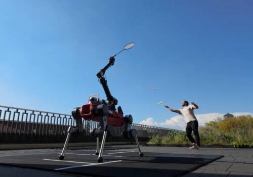 एनिमल नामक यो चारखुट्टे रोबोटले मानिससँग यसरी खेल्यो ब्याडमिण्टन