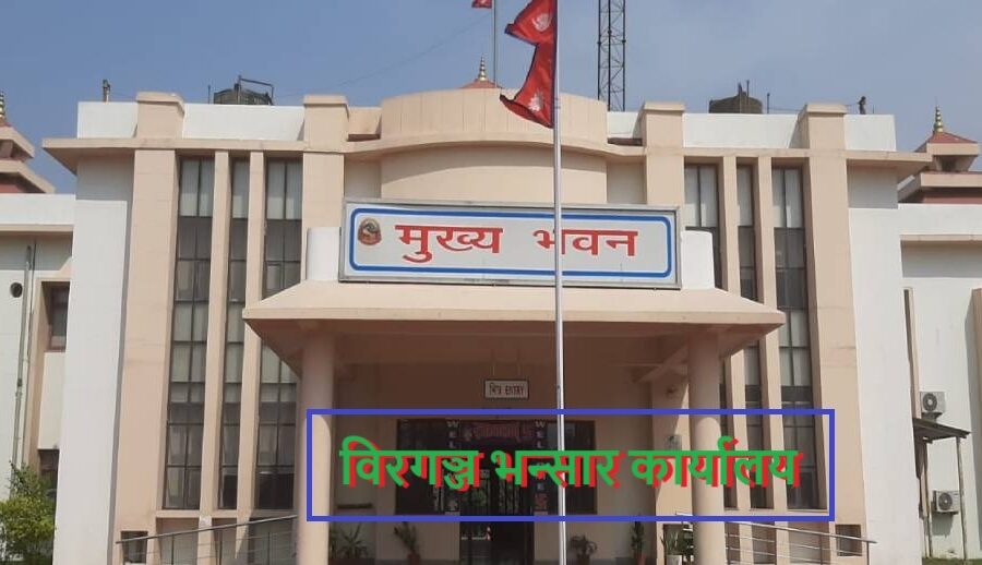 वीरगञ्ज नाका हुँदै तीन महिनामा आठ अर्ब ७० करोडका सवारीसाधन भित्रियो; दुई सय २९ वटा विद्युतीय सवारीसाधन समावेश