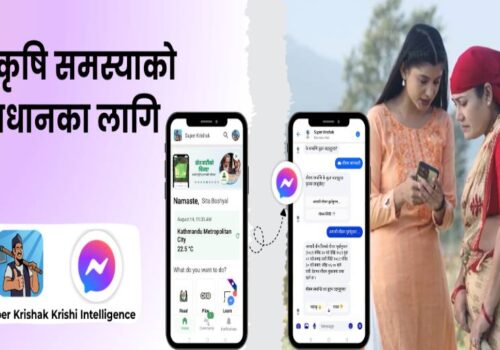 सुपर कृषक एपद्वारा किसानहरूका लागि ‘कृषि इन्टेलिजेन्स’ नामक नयाँ एआई सुविधा सार्वजनिक