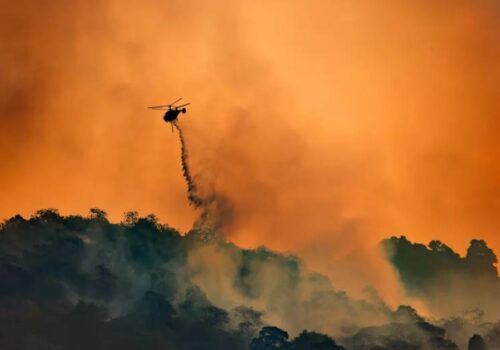 वायुमण्डलमा कार्बन डाइअक्साइडको मात्रा रेकर्ड स्तरमा,पृथ्वीको तापमान अझ बढाउने निश्चित: अध्ययन
