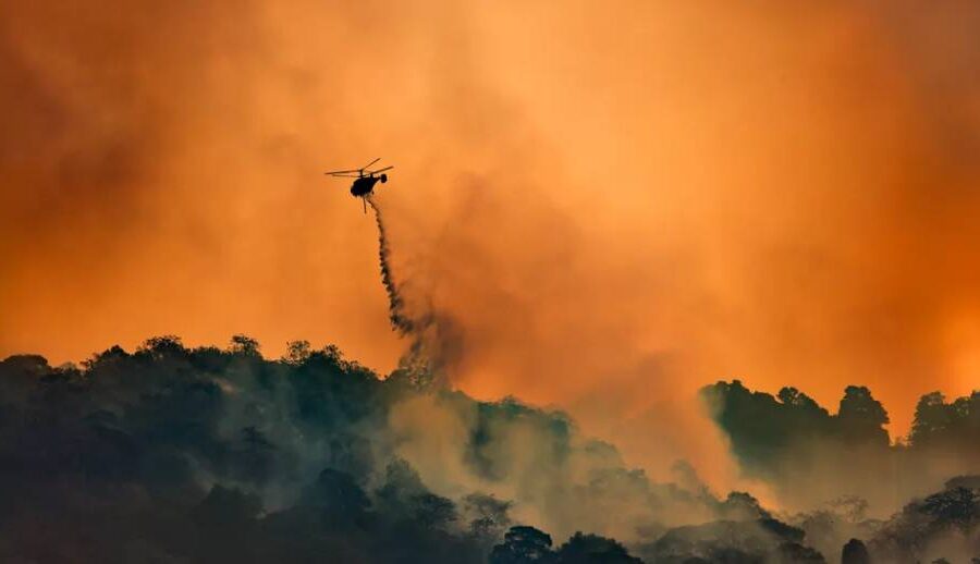 वायुमण्डलमा कार्बन डाइअक्साइडको मात्रा रेकर्ड स्तरमा,पृथ्वीको तापमान अझ बढाउने निश्चित: अध्ययन