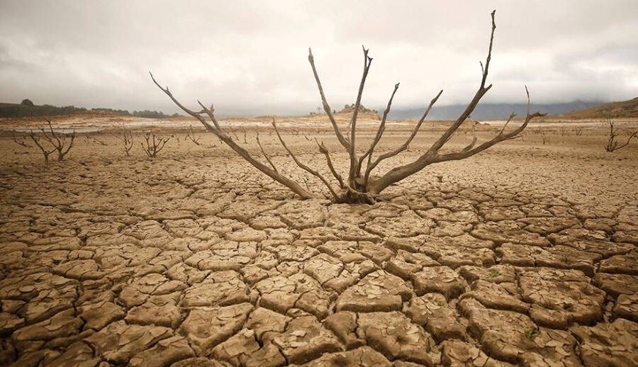 २०३० अगावै  विश्वको सुख्खा प्रभावित क्षेत्रमध्ये झण्डै तीन-चौथाइ क्षेत्रमा “डे–जिरो खडेरी” को जोखिम निम्तिन सक्ने: अध्ययन