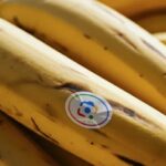 गुगलको नानो बनाना अब सामसङको नाउ ब्रीफमा उपलब्ध