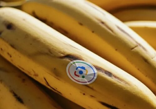 गुगलको नानो बनाना अब सामसङको नाउ ब्रीफमा उपलब्ध