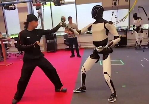 टेस्लाको ह्युमनोइड रोबोट अप्टिमसले गति र सन्तुलन देखाउँदै कुङ फू चालहरू प्रदर्शन गर्यो