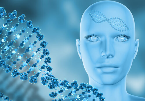 वैज्ञानिकहरूद्वारा सेलको न्युक्लियस नियन्त्रित गर्ने आणविक ‘पासपोर्ट’को खोज