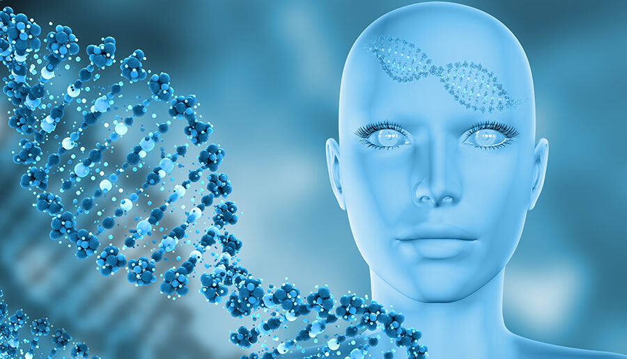 Scientists uncover molecular ‘passports’ that regulate Cell Nuclei