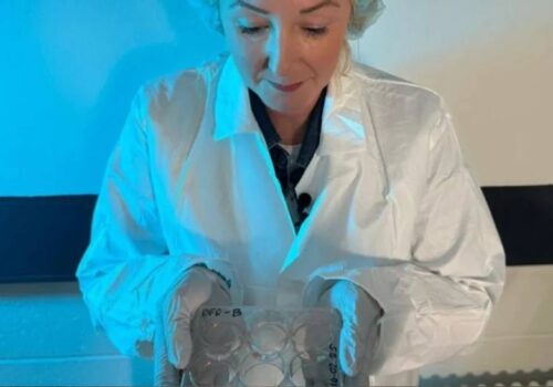 ‘बायोकम्प्युटिङ’ को क्षेत्रमा नयाँ उपलब्धि: वैज्ञानिकहरुले विकास गरे कम्प्युटर सञ्चालन गर्न साना मानव मस्तिष्कहरू