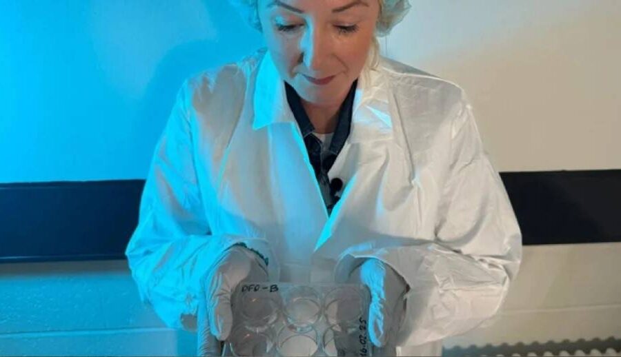 ‘बायोकम्प्युटिङ’ को क्षेत्रमा नयाँ उपलब्धि: वैज्ञानिकहरुले विकास गरे कम्प्युटर सञ्चालन गर्न साना मानव मस्तिष्कहरू