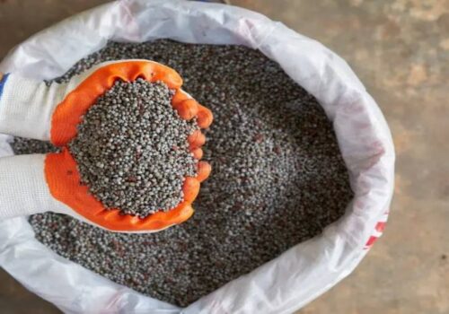 रासायनिक मल किसानलाई पुग्ने गरी ‘अनलाइन सिस्टम’ विकास गर्दैछौँ : मन्त्री परियार