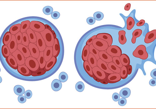 फ्रान्सेली वैज्ञानिकद्वारा क्यान्सर उपचारमा एमआरएनएको सम्भाव्यता परीक्षण