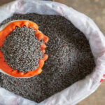 रासायनिक मल किसानलाई पुग्ने गरी ‘अनलाइन सिस्टम’ विकास गर्दैछौँ : मन्त्री परियार