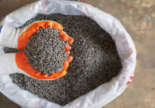 रासायनिक मल किसानलाई पुग्ने गरी ‘अनलाइन सिस्टम’ विकास गर्दैछौँ : मन्त्री परियार