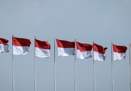 इन्डोनेसियाले सन् २०२५ पछि विद्युतीय सवारी साधन आयातका लागि प्रोत्साहन विस्तार नगर्ने