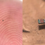 संसारको सबैभन्दा सानो रोबोट तयार, बालुवा जत्रो साइज तर सोच्ने र हिँड्ने उच्च शक्तियुक्त