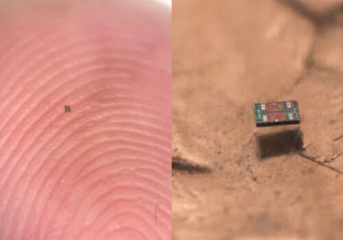 संसारको सबैभन्दा सानो रोबोट तयार, बालुवा जत्रो साइज तर सोच्ने र हिँड्ने उच्च शक्तियुक्त