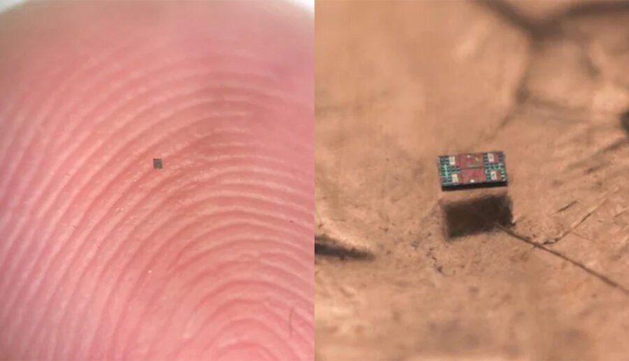 संसारको सबैभन्दा सानो रोबोट तयार, बालुवा जत्रो साइज तर सोच्ने र हिँड्ने उच्च शक्तियुक्त