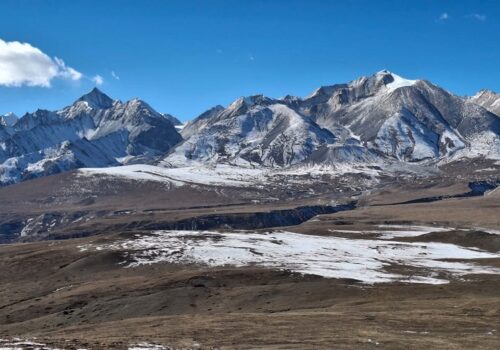 मुस्ताङमा क्यामरा ट्रयापिङमार्फत हिउँ चितुवाको सर्वेक्षण सुरु