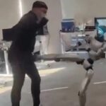 मानव चाल नक्कल गर्ने रोबोटले मानिसको कम्मर र तिध्रा बिचको भागमा लात हानेको क्षण भाइरल