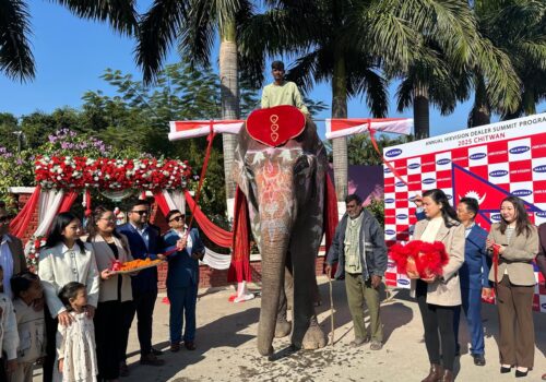 हिक भिजन ‘ब्राण्ड’को ‘वार्षिक वितरक भेला सुरु