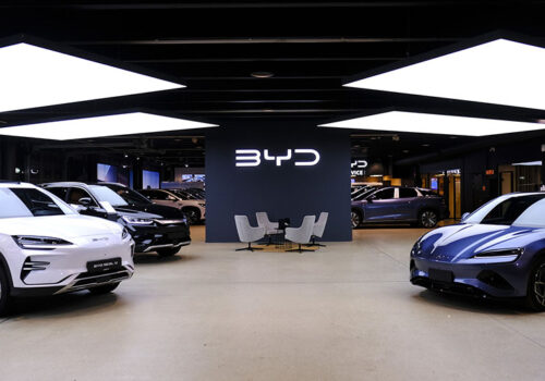 विश्व विद्युतीय सवारी बजारमा चीनको वर्चस्व बढ्दै