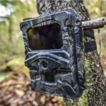 अत्याधुनिक क्यामरामार्फत बाघ गणना: तीन कम्पनीका क्यामराले यसरी दिनेछन् नतिजा