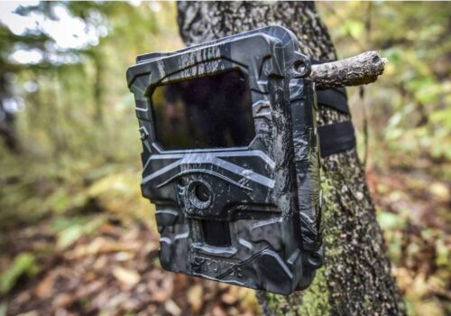 अत्याधुनिक क्यामरामार्फत बाघ गणना: तीन कम्पनीका क्यामराले यसरी दिनेछन् नतिजा