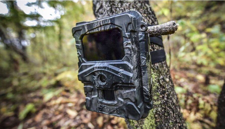 अत्याधुनिक क्यामरामार्फत बाघ गणना: तीन कम्पनीका क्यामराले यसरी दिनेछन् नतिजा