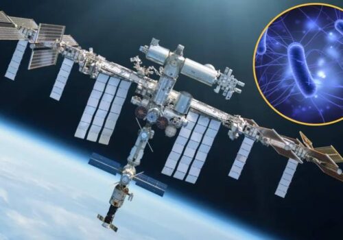 अन्तरिक्ष स्टेसनमा विकसित भई पृथ्वी फर्काइएका भाइरसहरू ब्याक्टेरिया मार्न अझ प्रभावकारी: अध्ययन