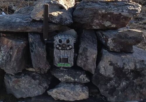 वन्यजन्तु अध्ययनका लागि क्यामराले घेरिएका छन् मुस्ताङका यी पहाड