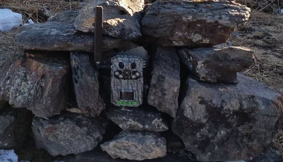 वन्यजन्तु अध्ययनका लागि क्यामराले घेरिएका छन् मुस्ताङका यी पहाड